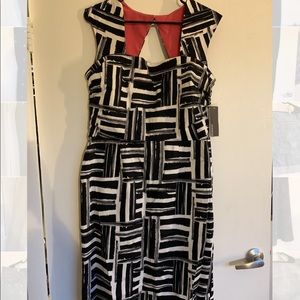 Black and white dress with pink liner